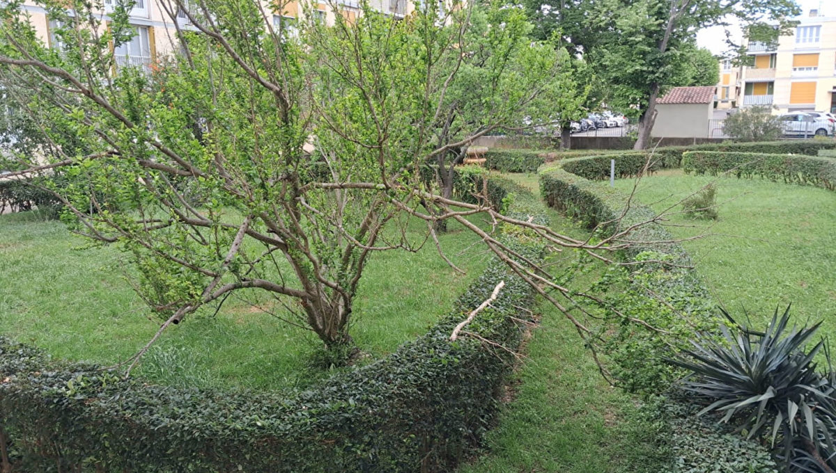 58364932d